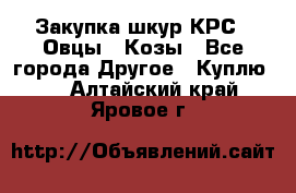 Закупка шкур КРС , Овцы , Козы - Все города Другое » Куплю   . Алтайский край,Яровое г.